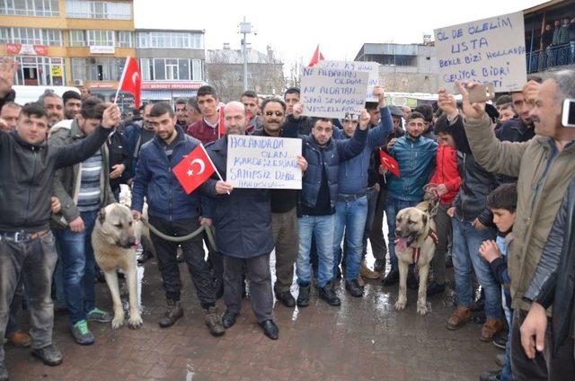 Hollanda’ya ‘kangallı’ Tepki