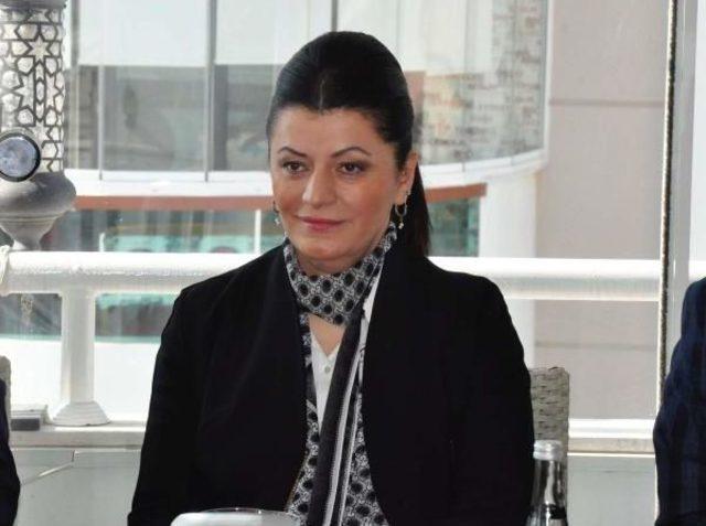 Cumhurbaşkanı Başdanışmanı T&uuml;rkmenoğlu: Referandum S&uuml;reci Diğer &Uuml;lkeleri Ilgilendirmez 1