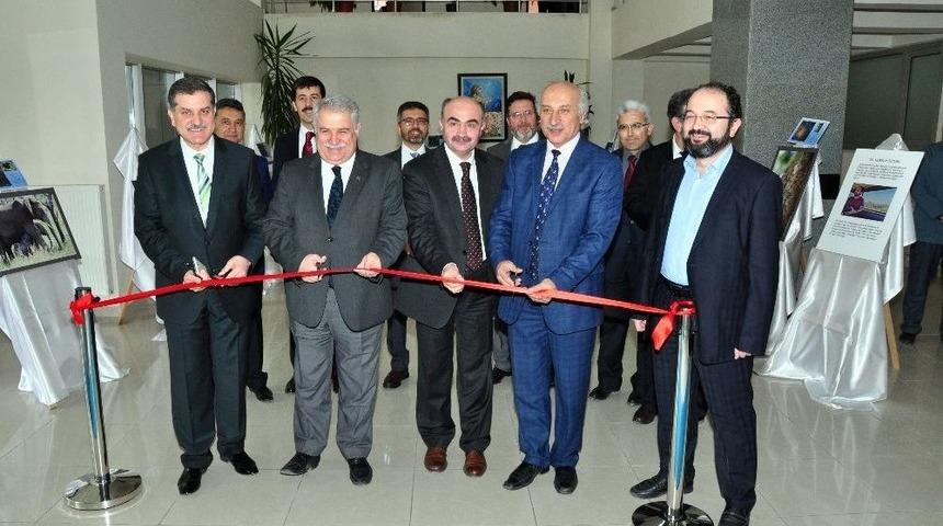 Hem Tıp Profesörü Hem Profesyonel Fotoğrafçı