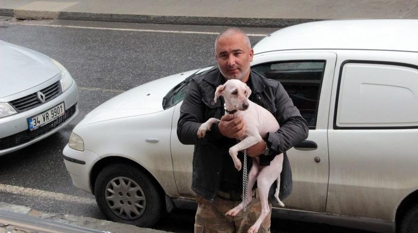 (&ouml;zel Haber) Konteynırda Bulunan K&ouml;peğin Sağlık Durumu İyi
