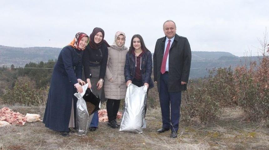 Başkan Babaş, Yaban Hayvanları İ&ccedil;in Ormana Yem Bıraktı