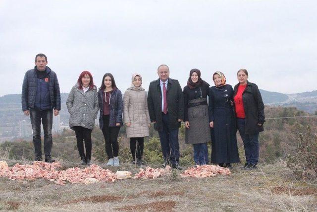 Başkan Babaş, Yaban Hayvanları İçin Ormana Yem Bıraktı