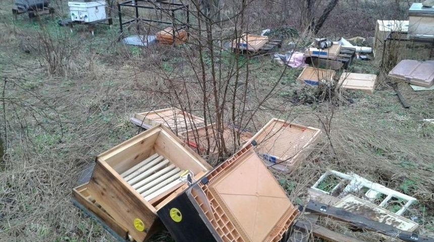 Kış Uykusundan Uyandı, Arı Kovanlarını Par&ccedil;aladı