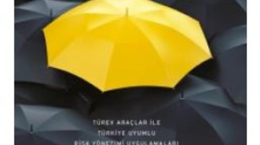 T&uuml;rev Ara&ccedil;ları İle T&uuml;rkiye Uyumlu Risk Y&ouml;netimi Uygulamaları