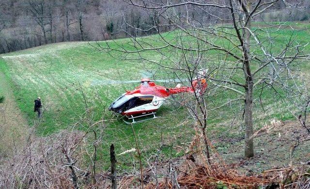 Ağaçtan Düşüp Yamaçtan Yuvarlanan Yaşlı Adamın Yardımına Helikopter Yetişti