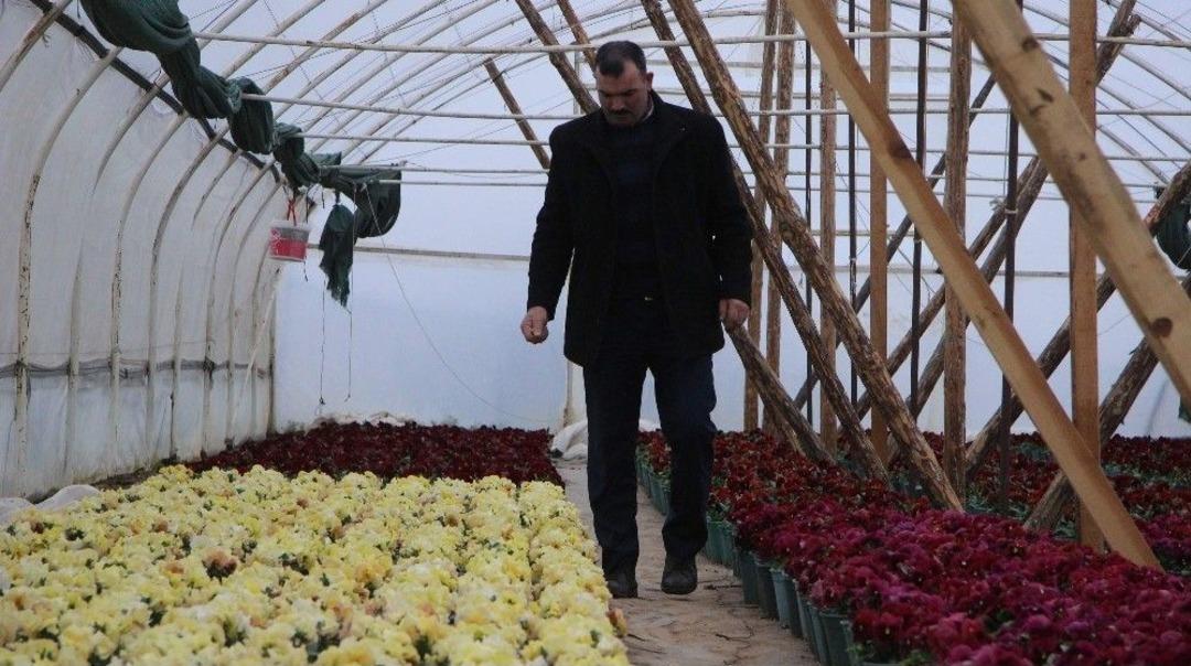 (&ouml;zel Haber) Uludağ&rsquo;ın Tohumları Altından Değerli