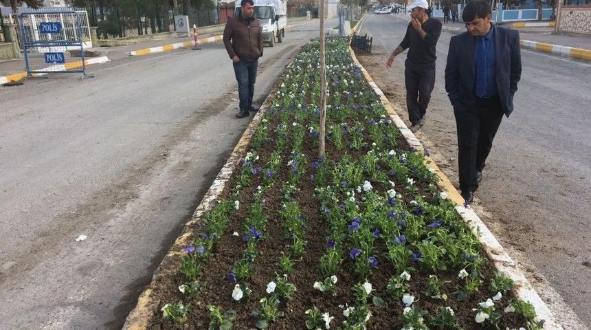 Hani&rsquo;de Yeşillendirme Atağı