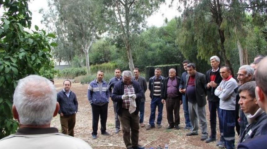 Aosb &ldquo;en Yeşil Osb&rdquo; Yolunda