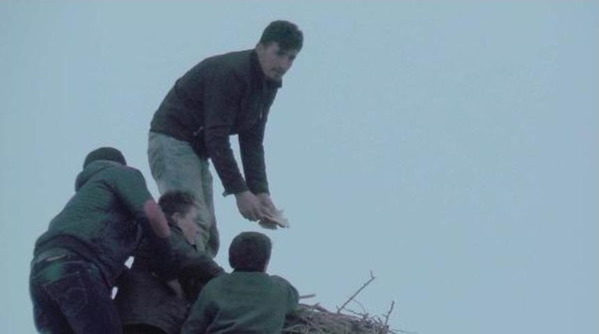 Leylek Yuvalarında Kar Temizliği