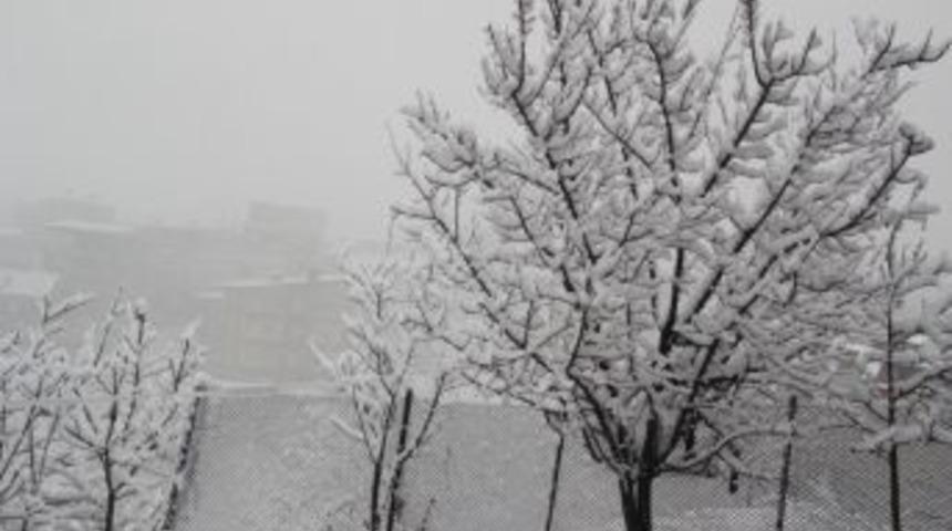 Hakkari&rsquo;de 14 K&ouml;y İle 30 Mezra Yolu Ulaşıma Kapandı