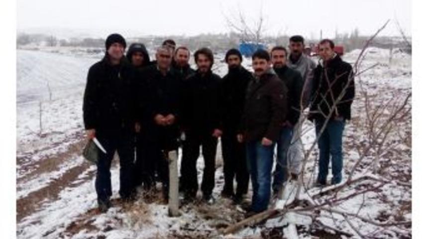 &Ccedil;ift&ccedil;ilere Cevizde Uygulamalı Aşı Kursu