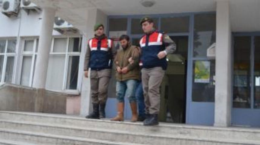 Hayvan &Ccedil;alan Hırsızlık &Ccedil;etesi Yakalandı