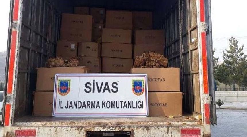 G&uuml;r&uuml;n'de Kamyondan 6.5 Ton Ka&ccedil;ak T&uuml;t&uuml;n &Ccedil;ıktı
