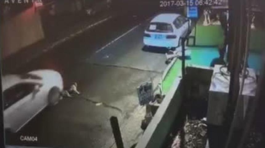 Trafik Kazasında Yaralanan K&ouml;peği Ezdi