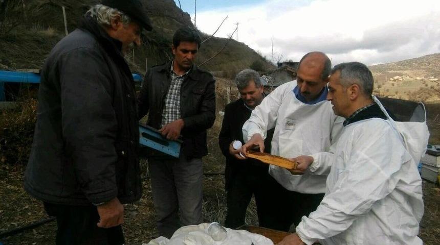 Tunceli&rsquo;deki Arı &Ouml;l&uuml;mleri İnceleniyor