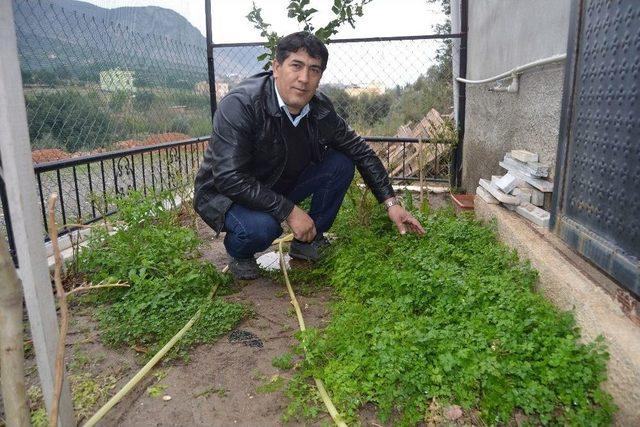 Marakla Başladığı Meslekte Marka Oldu