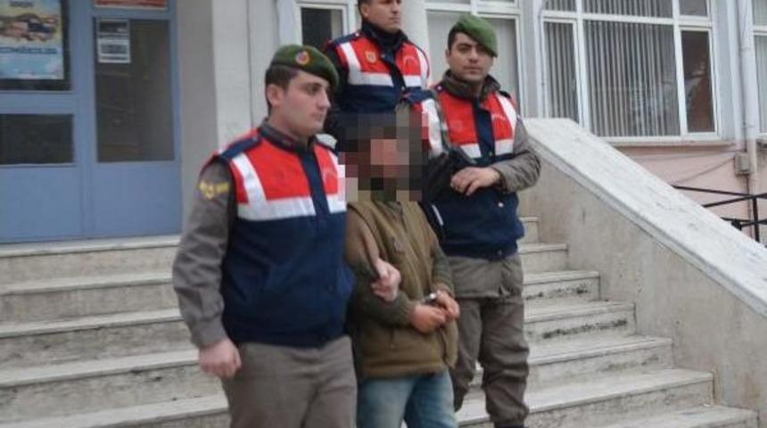 Kula'da Hayvan Hırsızlığı Operayonu: 7 G&ouml;zaltı