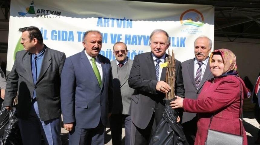 Artvin’de Vatandaşlara 12 Bin Adet Ağaç Fidanı Dağıtıldı
