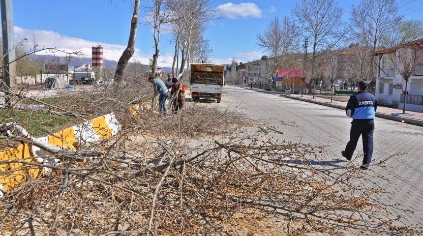 G&ouml;lbaşı İl&ccedil;esinde Ağa&ccedil; Budamaları Devam Ediyor