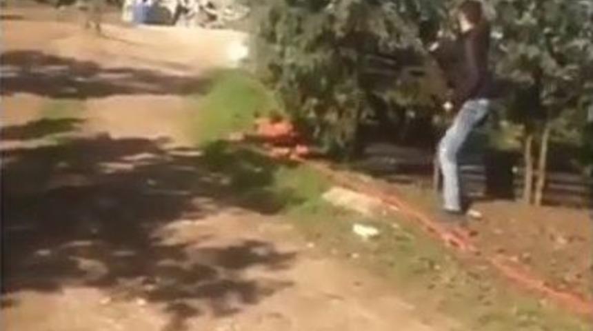 K&ouml;peğe Silahlı Saldırı Kamerada