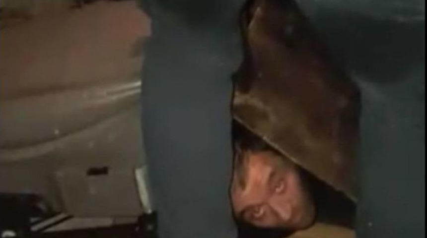 Aracın Gizli B&ouml;lmesinde G&uuml;rcistan&rsquo;a Ka&ccedil;arken Yakalandı