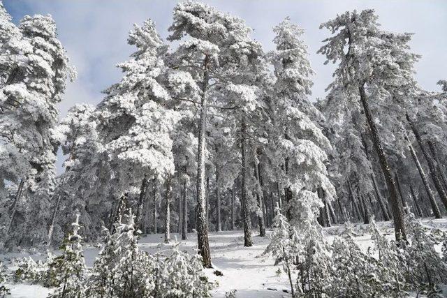 Eskişehir’de Kar Sürprizi