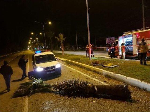 Yoldaki Kaldırım Taşına Çarpan Otomobil Takla Attı, Sürücü Öldü