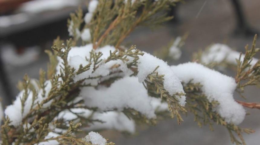 Ağrı&rsquo;da Kar Yağışı Devam Ediyor