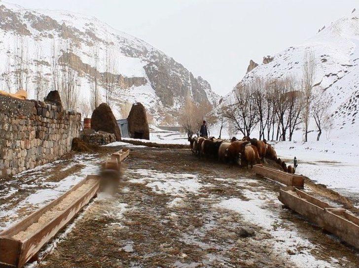 Doğu’daki Ağır Kış Şartları Film Oldu G3