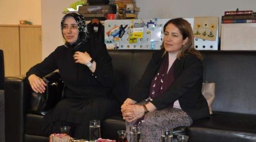 Cumhurbaşkanı Başdanışmanı Zengin "sandığa Gitme Meselesinin &Ouml;tesinde Bir Şey"