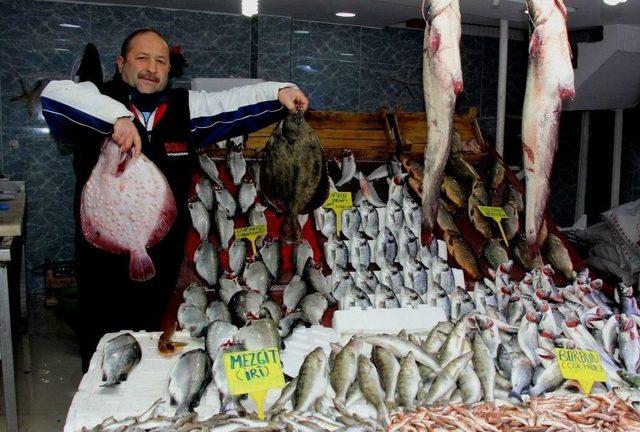 Hava Şartları Balık Fiyatlarını Olumsuz Etkiledi