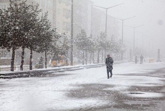 Ahlat’ta 8 Köy Yolu Ulaşıma Kapandı