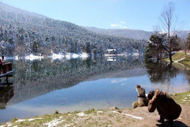 Gölcük'te Kar Güzelliği