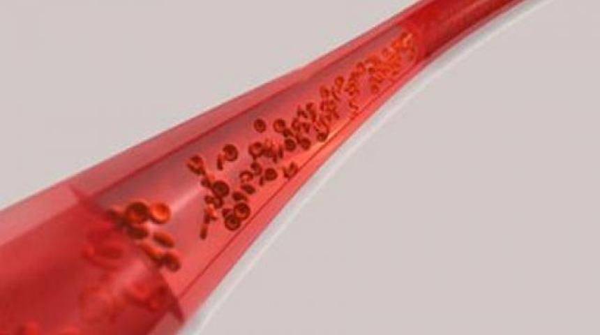 İşte v&uuml;cudumuzdaki en &ouml;nemli organ!