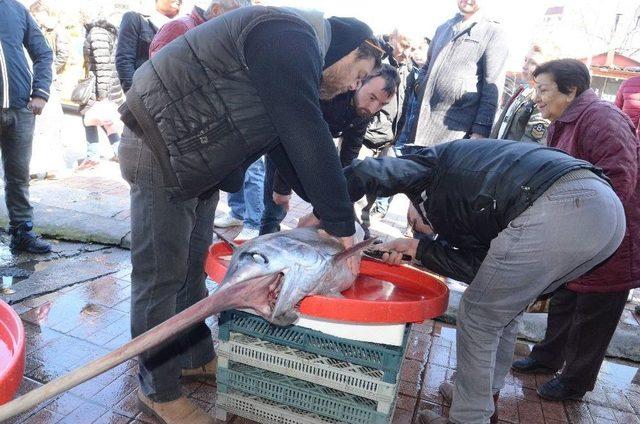 2 Metre Boyunda Kılıç Balığı Yakalandı