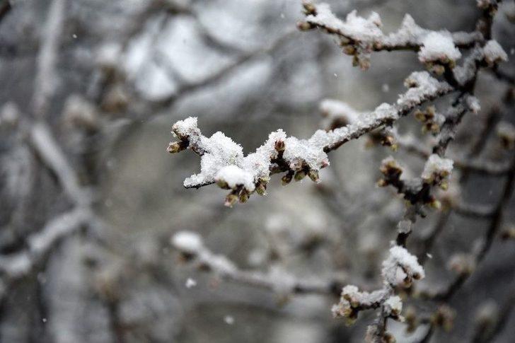 Gümüşhane’de Mart Kapıdan Baktırdı G4