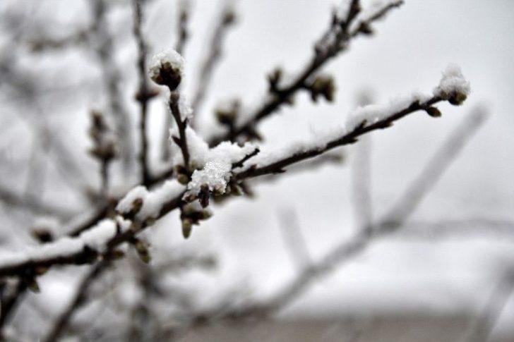 Gümüşhane’de Mart Kapıdan Baktırdı G5