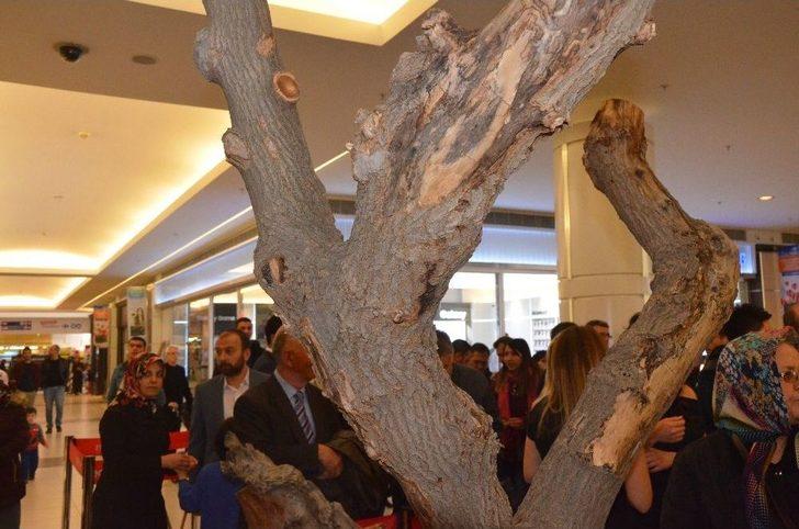 Tabiattan Sanata Ahşap Eserler Neoplus’ta Vatandaşların Beğenisine Sunuldu G2