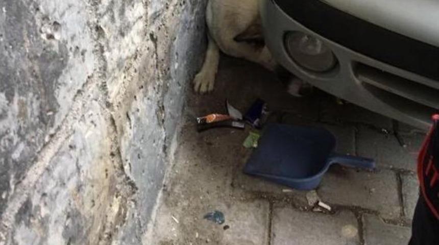 Otomobil İle Duvar Arasında Sıkışan K&ouml;pek Kurtarıldı