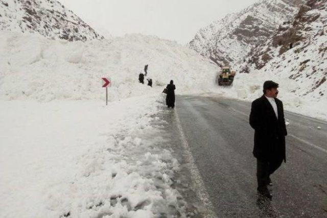 Çatak-Van Karayolu Çığ Düşmesi Sonucu Ulaşıma Kapandı