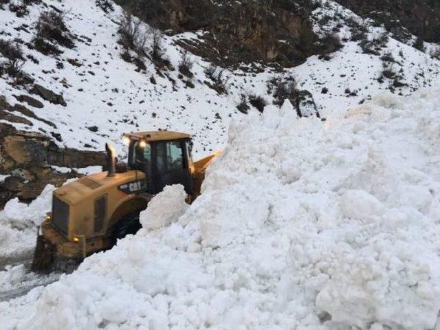 Çatak-Van Karayolu Çığ Düşmesi Sonucu Ulaşıma Kapandı