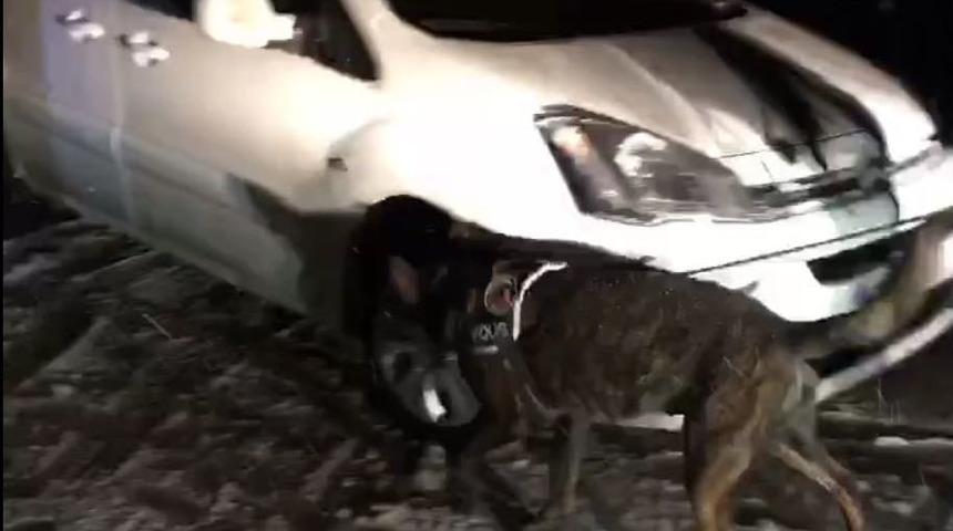 Van’da Uyuşturucu Operasyonu