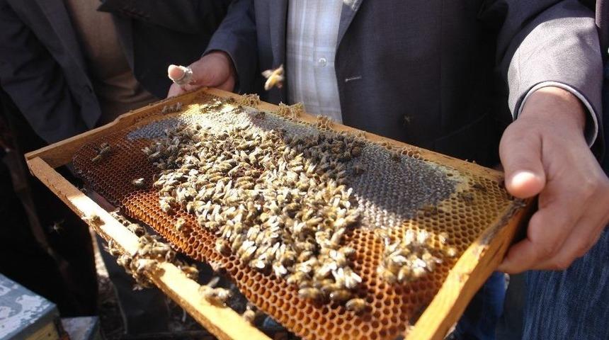 Diyarbakır&rsquo;da 482 Arıcıya 1 Milyon 11 Bin Tl &Ouml;deme Yapılacak