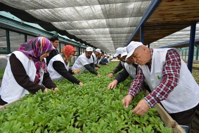 Bahçıvanlık Kursu Kayıtları Başlıyor