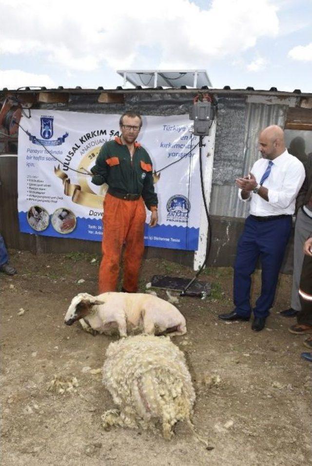 Büyükşehir’den ’kırkımcılık’ Eğitimi