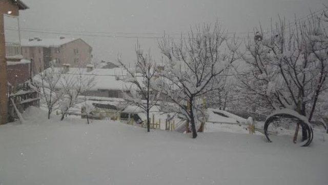 Beytüşşebap'ta Kar Yağışı Yaşamı Olumsuz Etkiledi