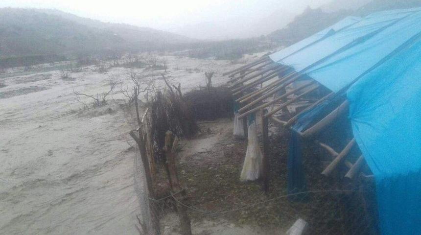 Şirvan&rsquo;da Selde K&ouml;pr&uuml; Yıkıldı, Okul Kullanılamaz Hale Geldi