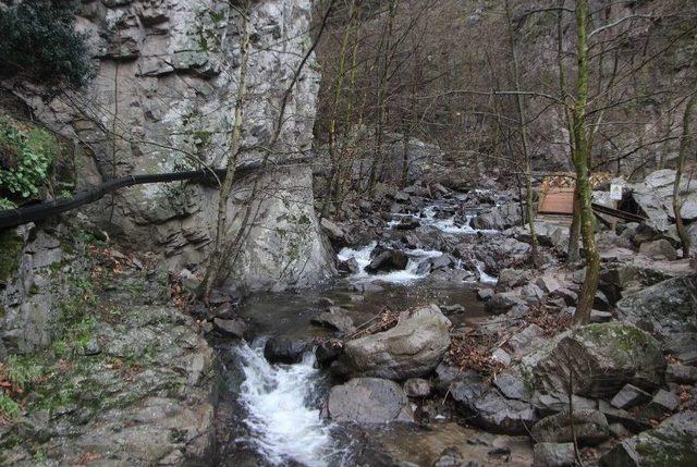 (özel Haber) Dünya Tedavi Olmak İçin Orhaneli’ye Gelecek