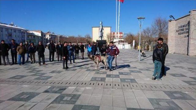 Hollanda'ya Köpekli Protesto