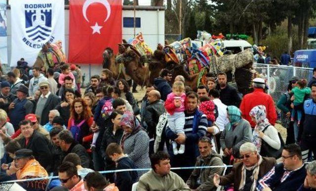 Develer Gümüşlük Gençlikspor Yararına Güreştirildi